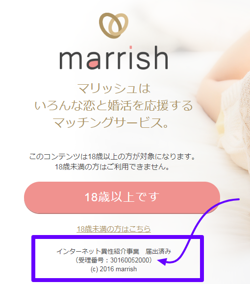 マリッシュ インターネット異性紹介事業